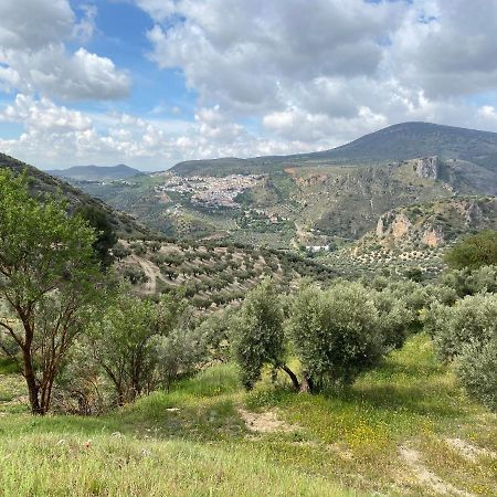 Columbaira Villa Colomera Dış mekan fotoğraf