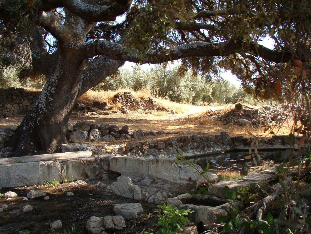 Columbaira Villa Colomera Dış mekan fotoğraf